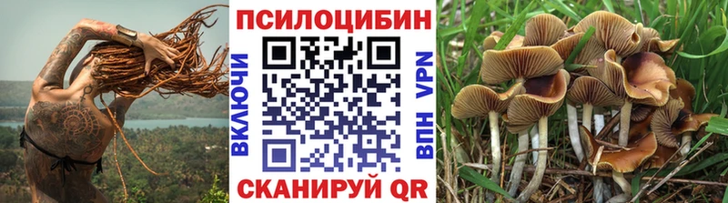 Псилоцибиновые грибы мухоморы Купить закладки Нарткала