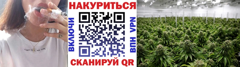 Канабис OG Kush  Купить где  Нарткала 